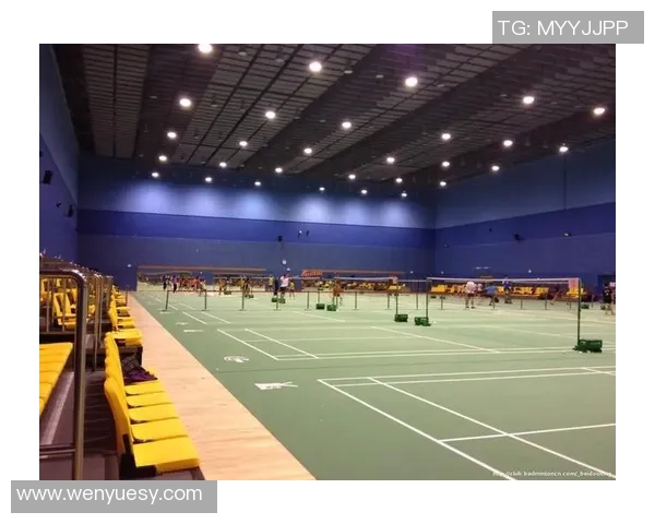 南京羽毛球队阵地战分析与反思：得失背后的深层原因探讨