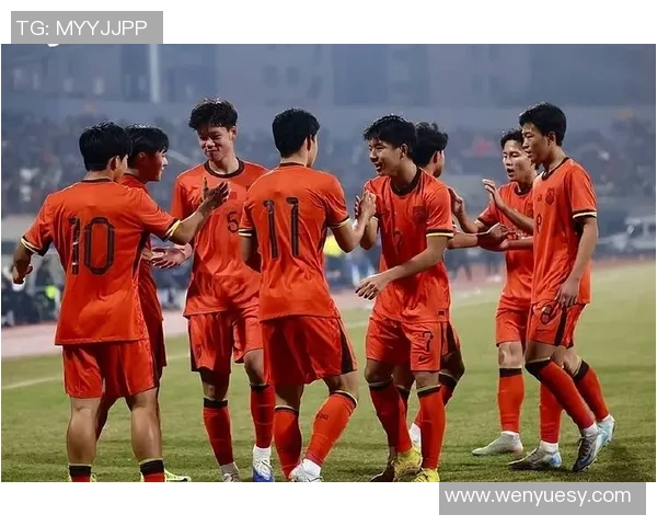 大悟足球的崛起与发展探索助力地方体育文化的繁荣与提升